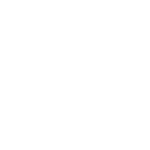 Discord icon