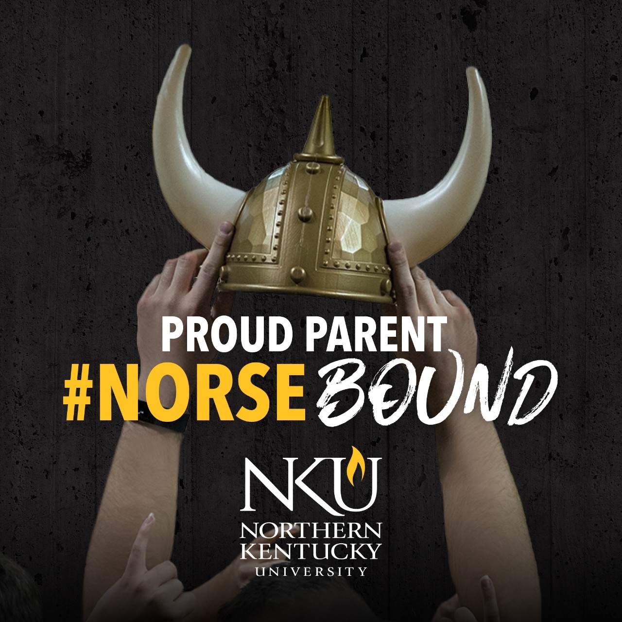Download #NorseBound parent profile picture, with image of hands holding viking helmet