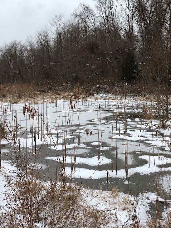 NKU REFS in the winter