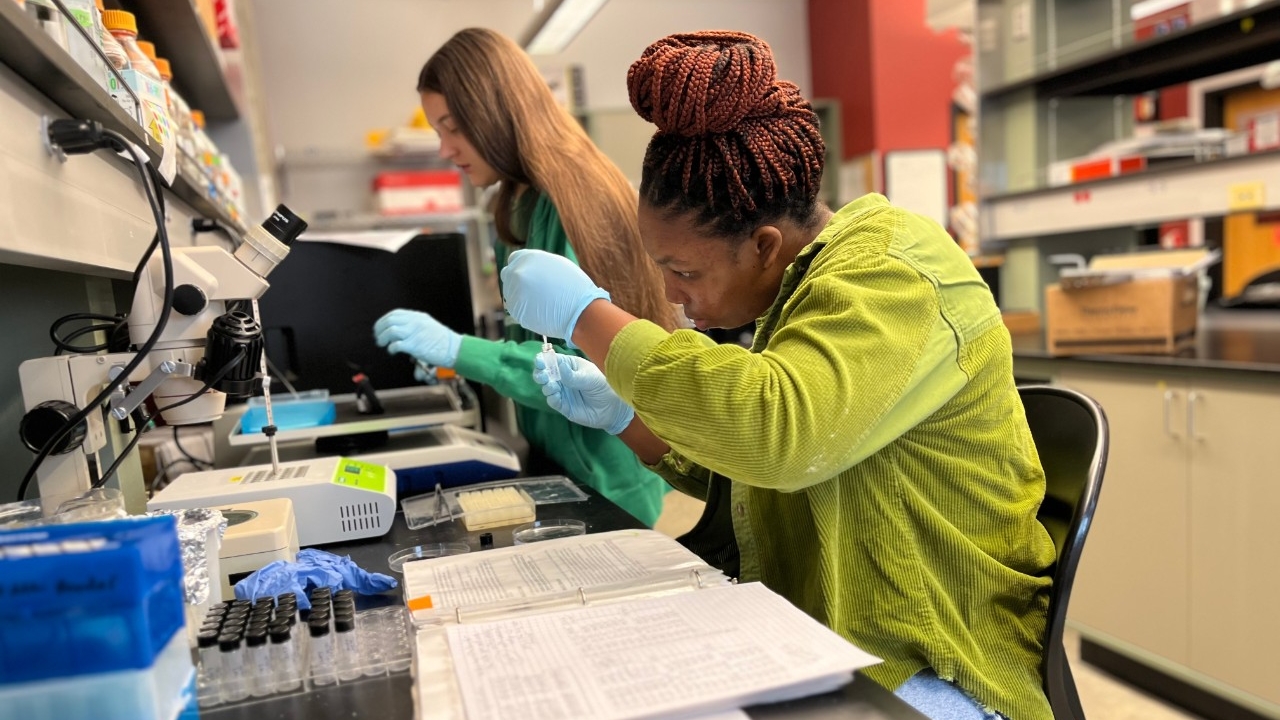 Biology students do summer research in NKU's biology lab.