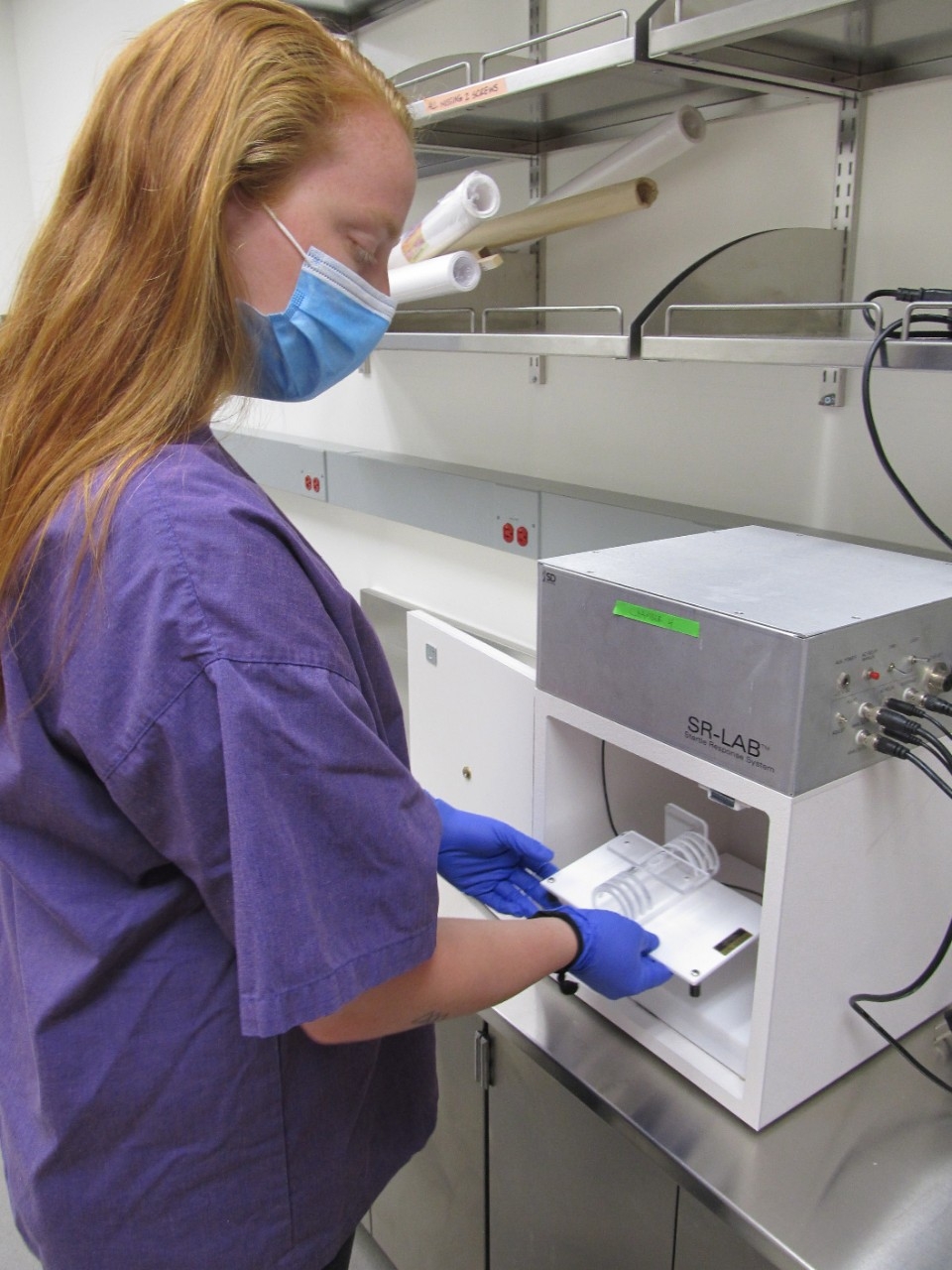 Tori Ferguson undergraduate research