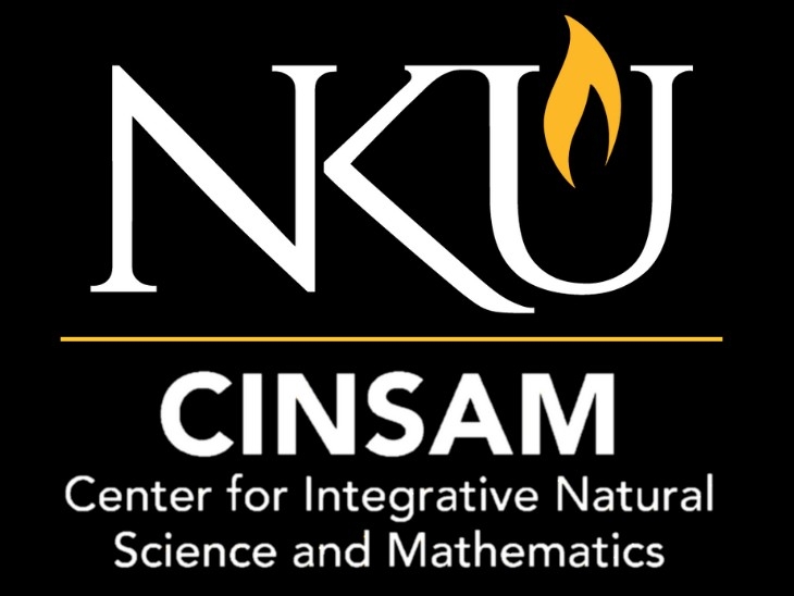 CINSAM