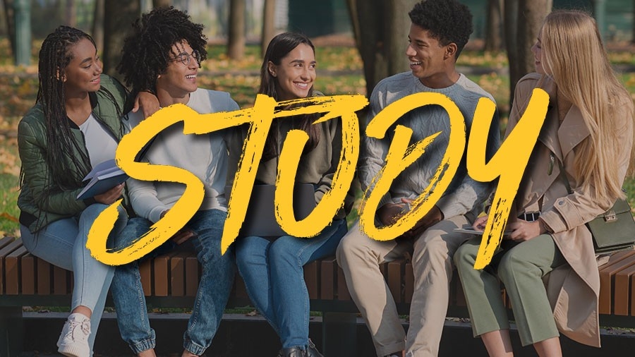 a group of students discussing project, sitting in park - the word Study is superimposed